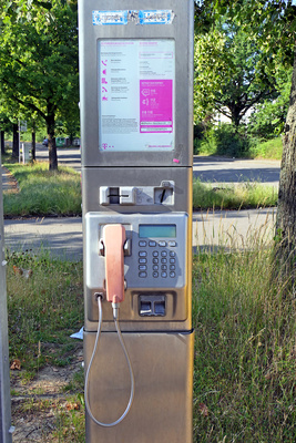 Eines der Letzten