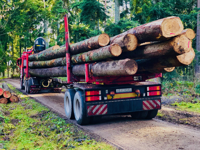 Langholztransporter im Wald