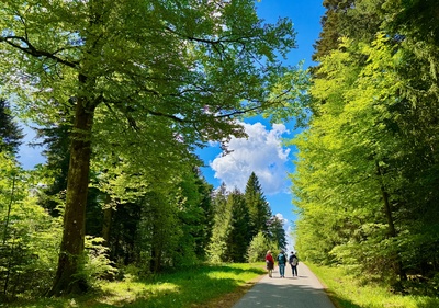Schwarzwald-Wanderung