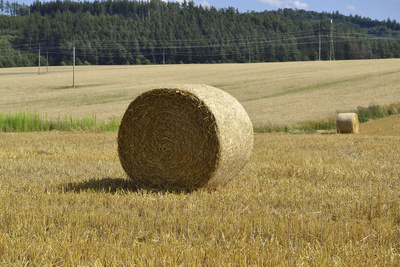 Strohballen auf einem Feld, gesehen in Tschechien.