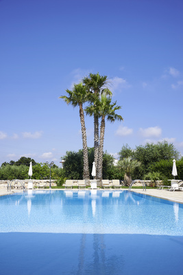 Swimming Pool - Schwimmbad mit Palmen.