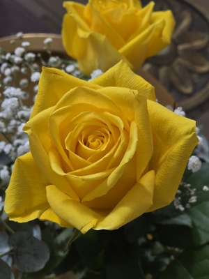 Gelbe Rosenbl&uuml;te