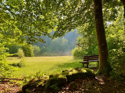 Morgenwanderung