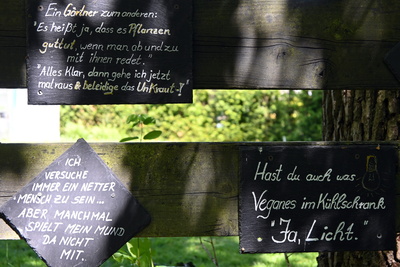 Humor ist sch&ouml;n