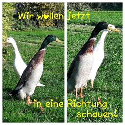 Gedanken des Brautpaars