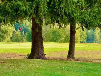 Golfen im Schwarzwald_2