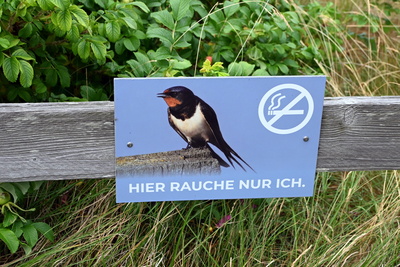 Rauchschwalbe-Hinweis mit Augenzwinkern