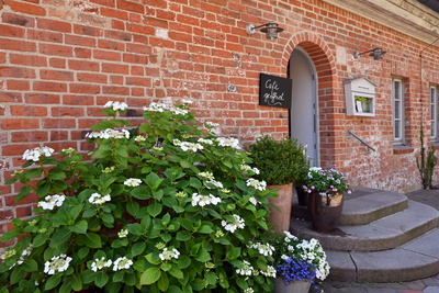 Blumen am Kloster Cismar