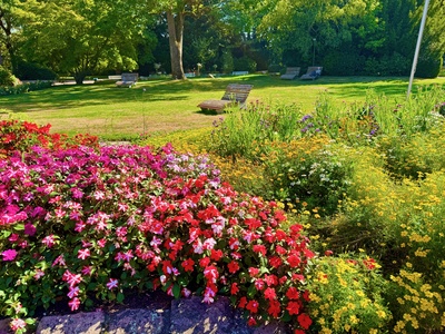 Blumenparadies im Park