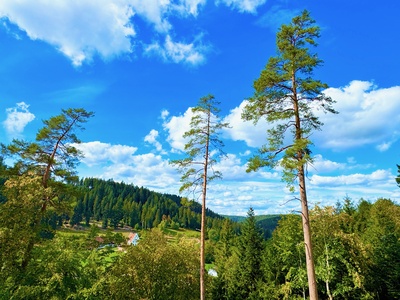Wanderwetter im Schwarzwald
