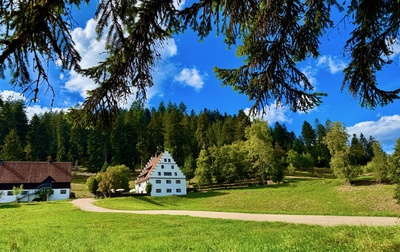 Das B&auml;renschl&ouml;ssle im Forbachtal