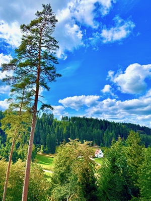Wanderwetter im Schwarzwald