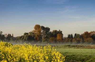 Herbstlich