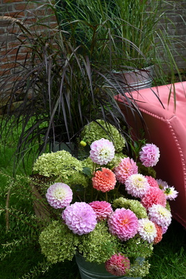 Fotobank mit Dahlien