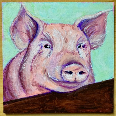 Schweinskopf im Portr&auml;t