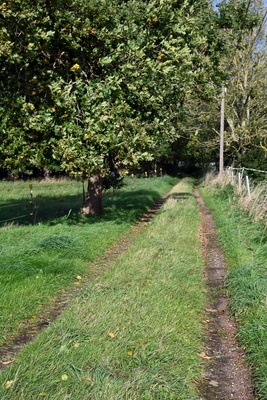Feldweg im Herbst