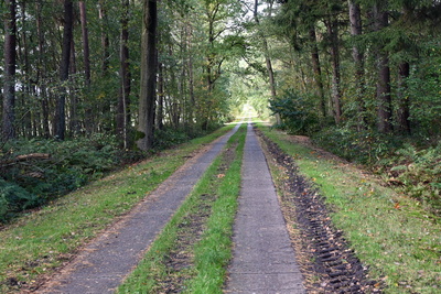 Der Weg ist das Ziel!