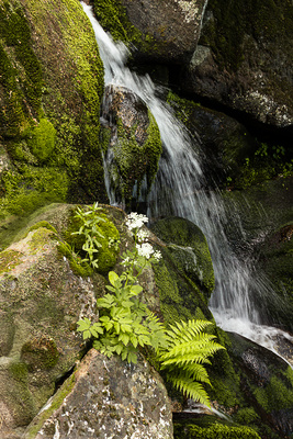 Gertelbach Wasserfall