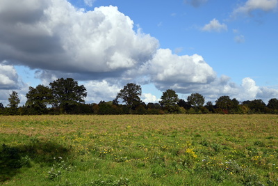 Wolken &uuml;ber dem Feld
