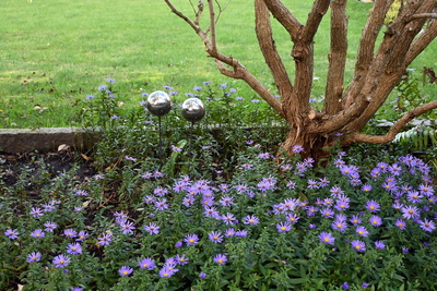 Herbst im Garten