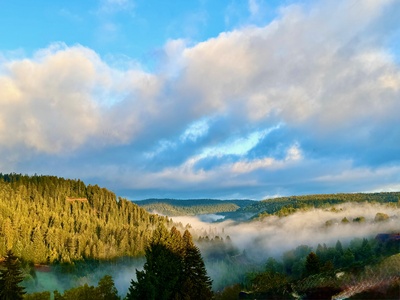 Schwarzwald-Tal mit Nebelwolken