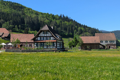 im Vogtsbauernhof Museum