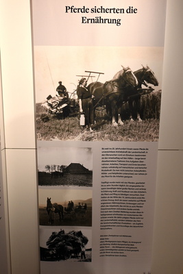 Pferde in der Landwirtschaft