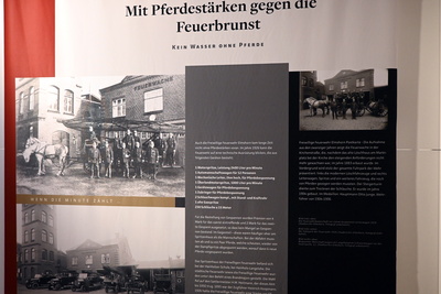 Pferdest&auml;rken gegen Feuersbrunst